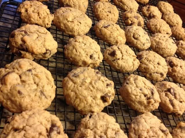 Choosing Contentment: Chocolate Chip Lactation Cookies- Lactation ...